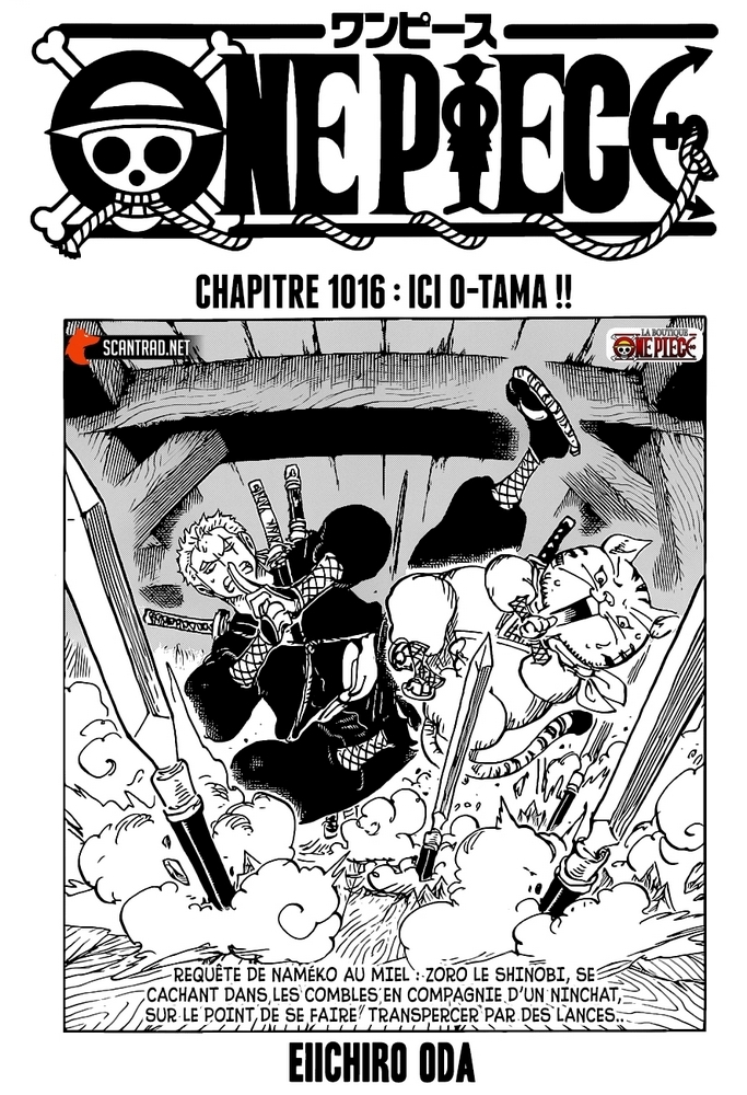 Résumé chapitre 1016 One Piece Laboutique Onepiece